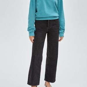 Aritzia Denim Forum Farrah High Rise Wide Leg Jean